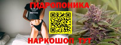 скорость Лесосибирск
