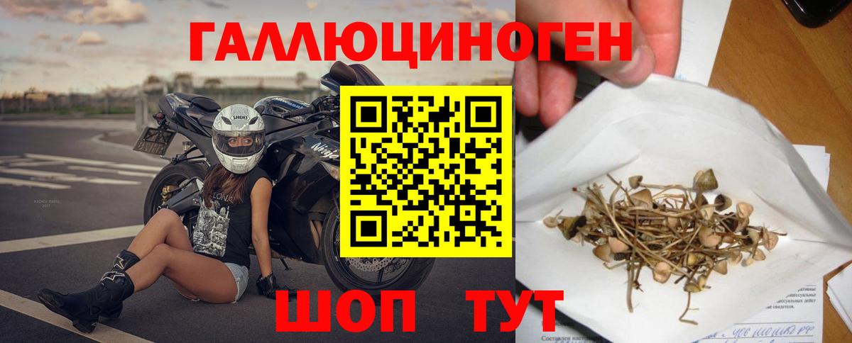 Ялуторовск  Псилоцибиновые грибы Psilocybine cubensis  Вход с VPN 